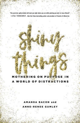 Shiny Things book cover